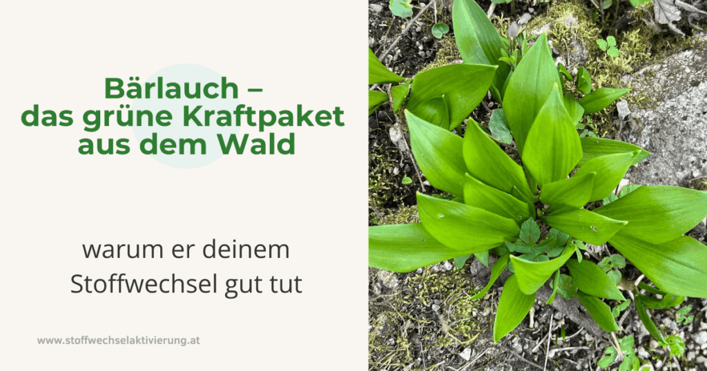 Bärlauch – das grüne Kraftpaket aus dem Wald & warum er deinem Stoffwechsel gut tut