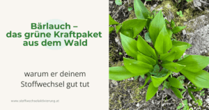 Bärlauch – das grüne Kraftpaket aus dem Wald & warum er deinem Stoffwechsel gut tut