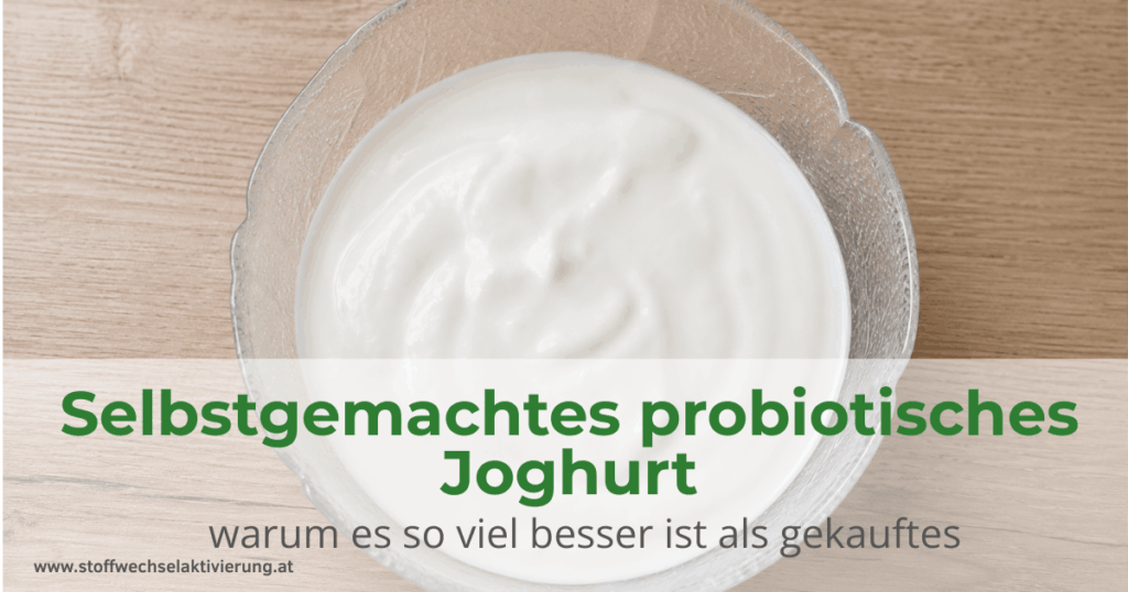 Selbstgemachtes probiotisches Joghurt –warum es so viel besser ist als gekauftes