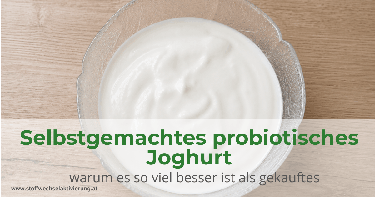 Selbstgemachtes probiotisches Joghurt –warum es so viel besser ist als gekauftes