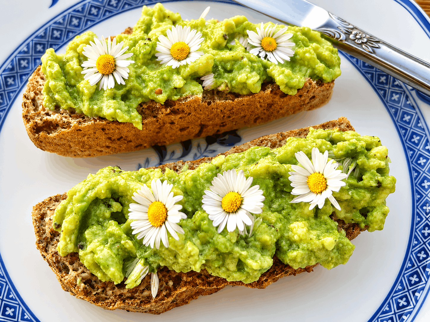 Gänseblümchen-Aufstrich mit Avocado