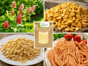 Lupinenprodukte – wie ich sie verwende und wo du sie kaufst